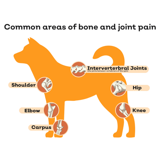 Joint Supplements Are Not Enough - Arthritis