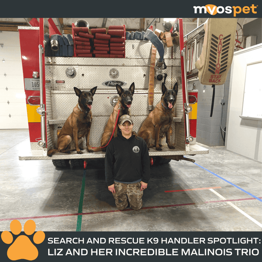 The Power of the Pack: Liz & Her K9 Crew