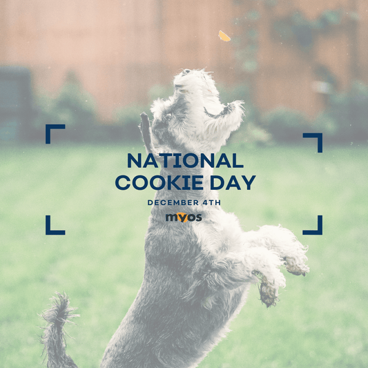 Celebrate National Cookie Day with our No Bake MYOS PB Cookie Recipe