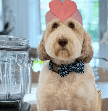 Valentine's Day MYOS Treats!