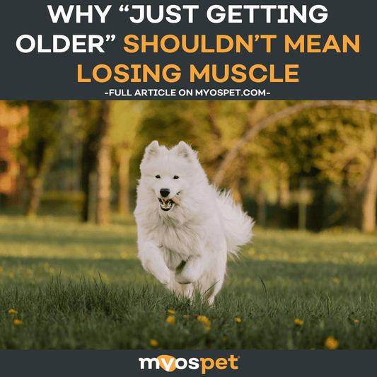 Why “Just Getting Older” Shouldn’t Mean Losing Muscle