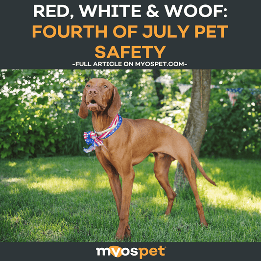 Red, White & Woof: Fourth of July Pet Safety