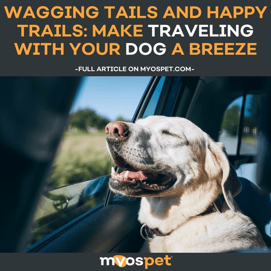 Wagging Tails and Happy Trails: Make Traveling with Your Dog a Breeze