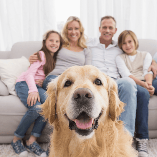 MYOS Canine Muscle Formula®Now Covered at 90% by Most Pet Insurance Companies