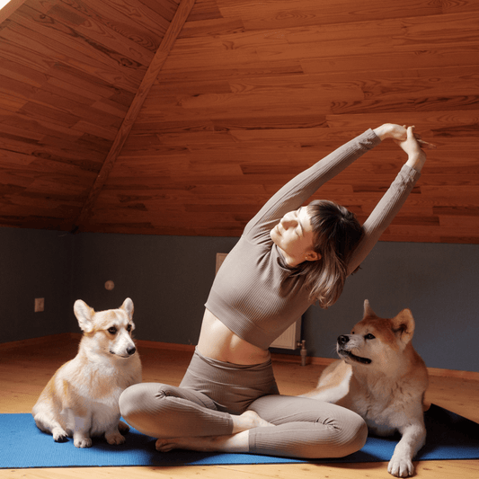 Top 5 Ways to Exercise with Your Dog