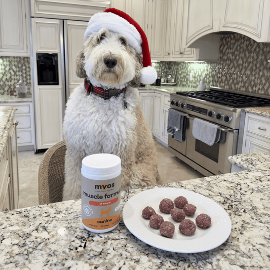 HOLIDAY MYOS TREATS!