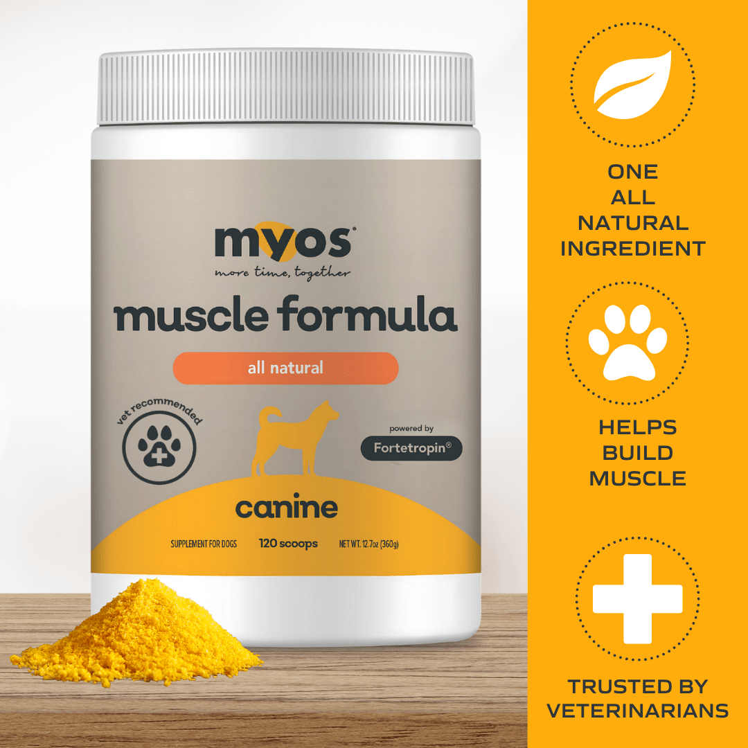 Canine Muscle Formula Dog Supplements Myos Pet
