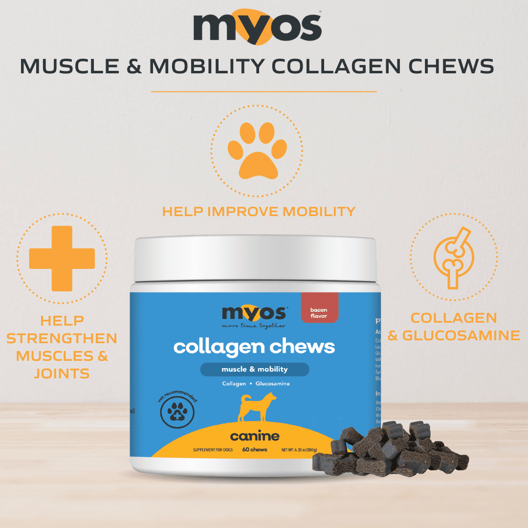 Canine Muscle & Mobility Collagen Chew Dog Supplements Myos Pet