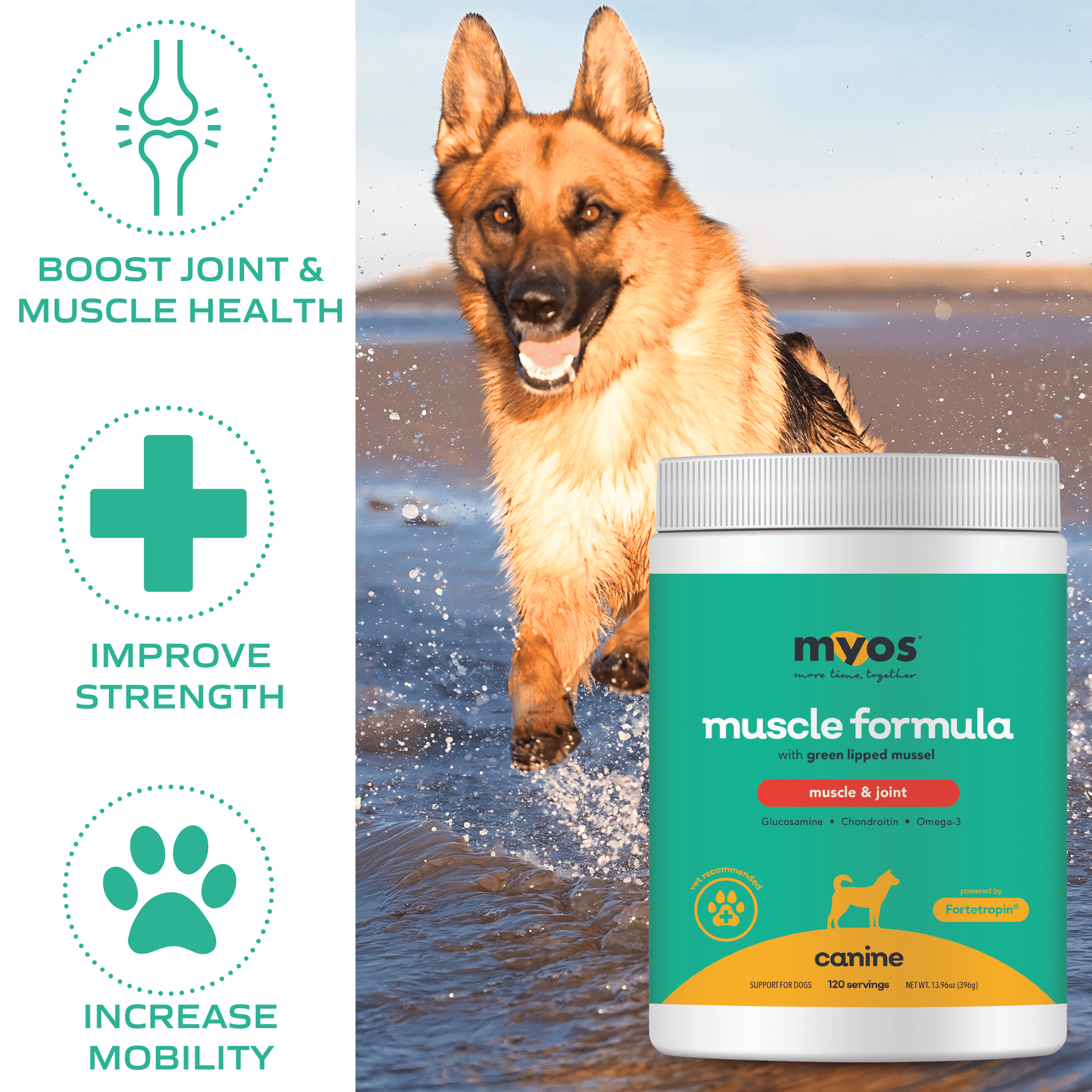Canine Muscle & Joint Formula Bundle 396 g Dog Supplements myospet.com