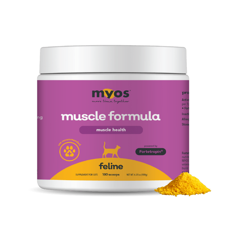 Feline Muscle Formula Cat Supplements Myos Pet