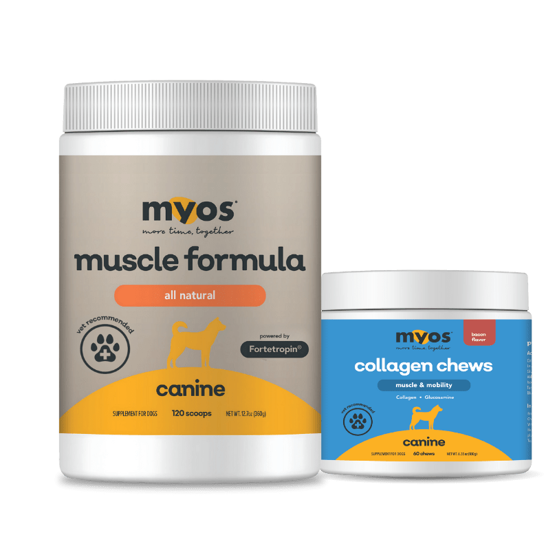 Canine Muscle Formula & Collagen Chew Bundle Dog Supplements Myos Pet
