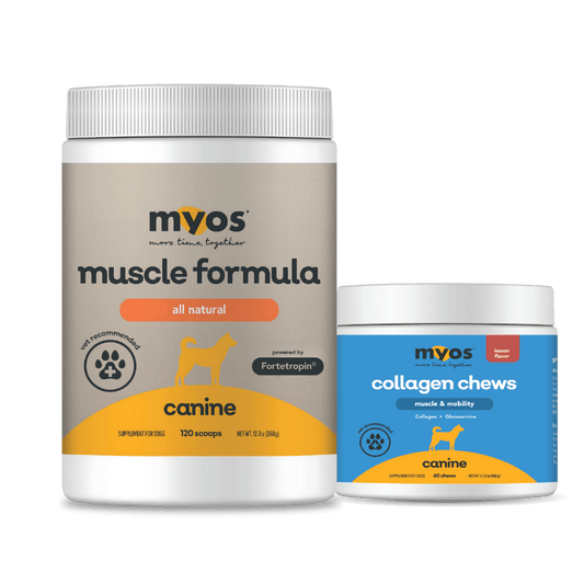 Canine Muscle Formula & Collagen Chew Bundle Dog Supplements Myos Pet