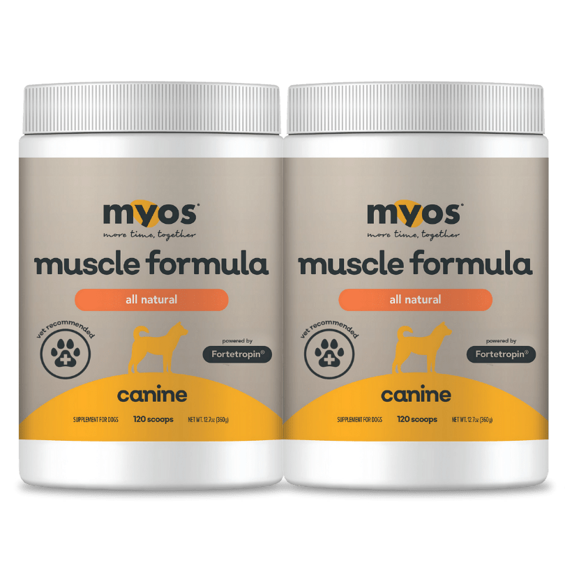 Canine Muscle Formula Bundle Dog Supplements Myos Pet