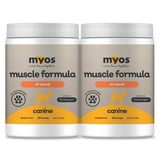 Canine Muscle Formula Bundle Dog Supplements Myos Pet