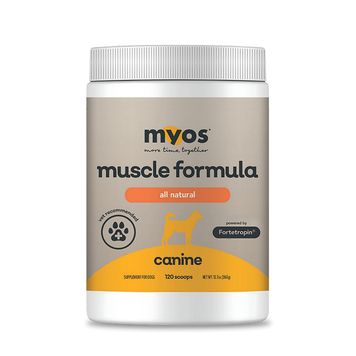 Canine Muscle Formula Dog Supplements Myos Pet 360 g