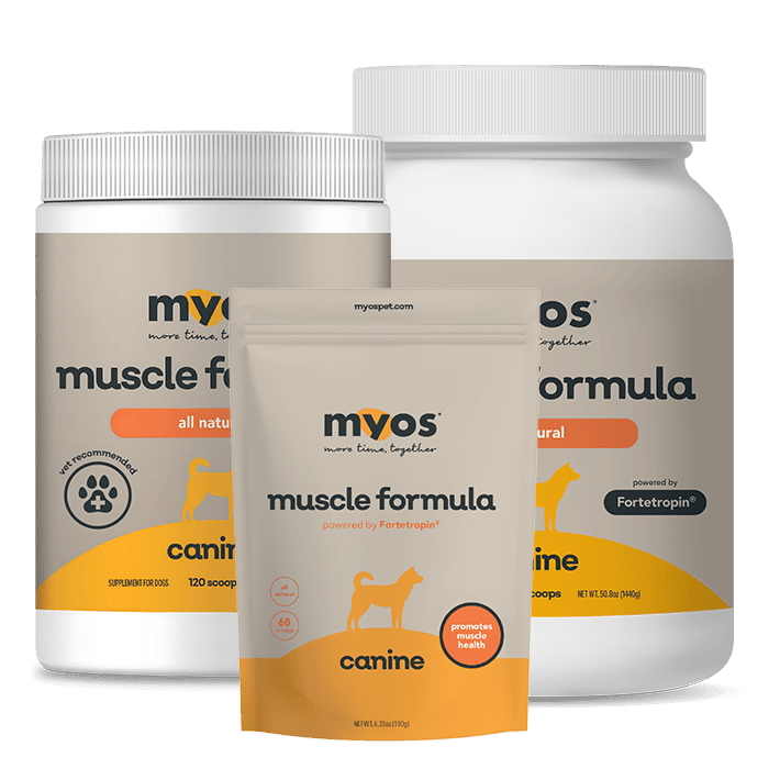 Canine Muscle Formula Dog Supplements Myos Pet