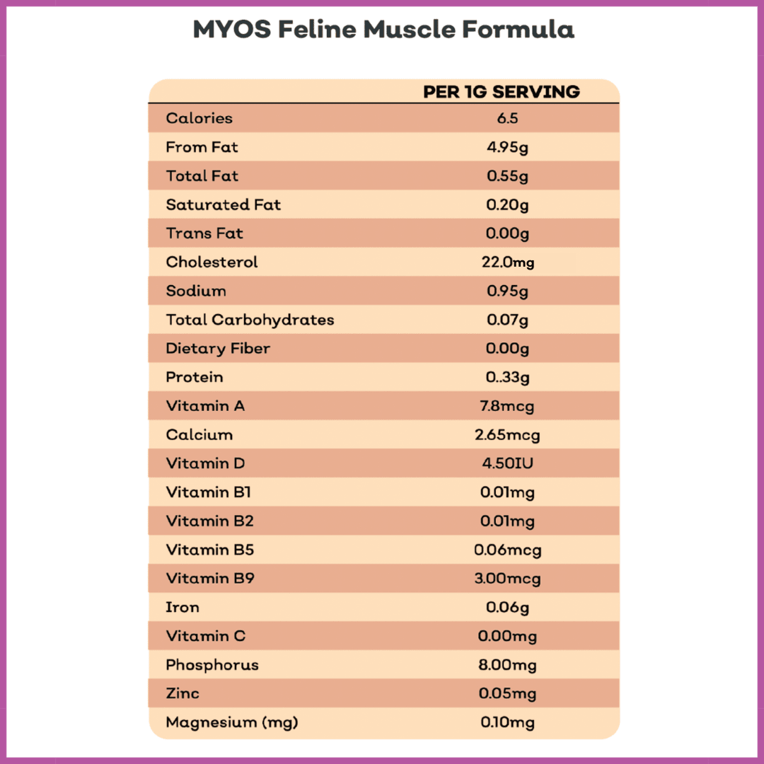 Feline Muscle Formula Cat Supplements myospet.com 