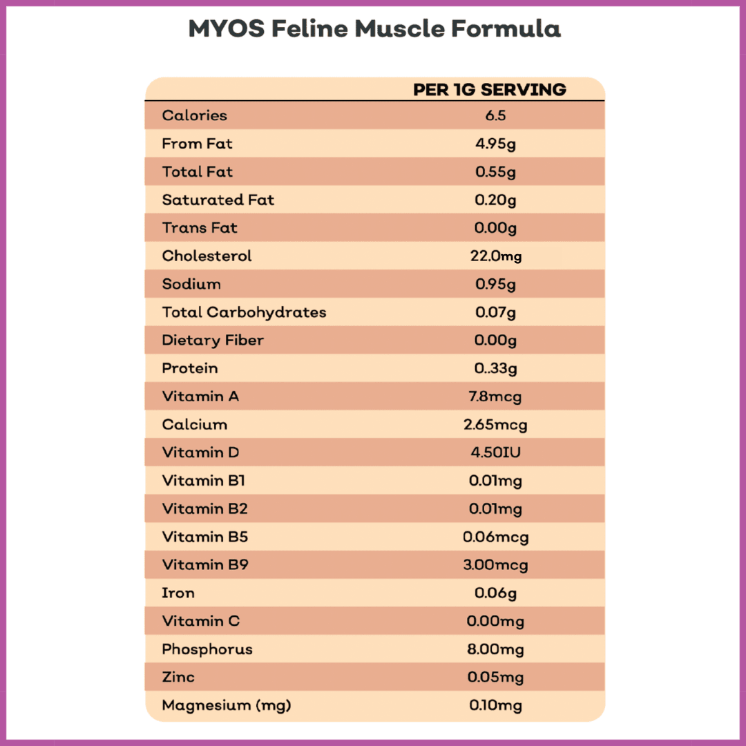 Feline Muscle Formula Cat Supplements myospet.com