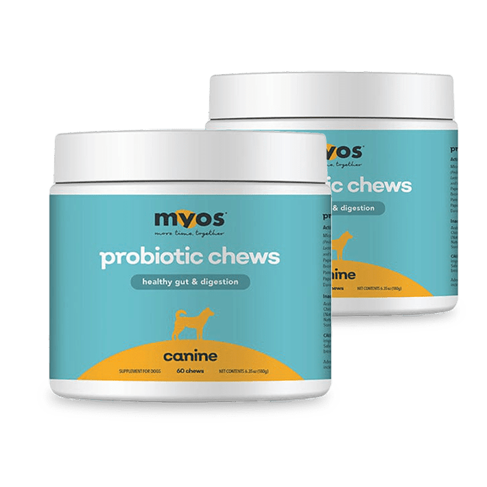 Canine Probiotic Chews Dog Supplements Myos Pet 2