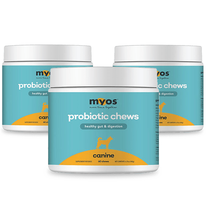 Canine Probiotic Chews Dog Supplements Myos Pet 3