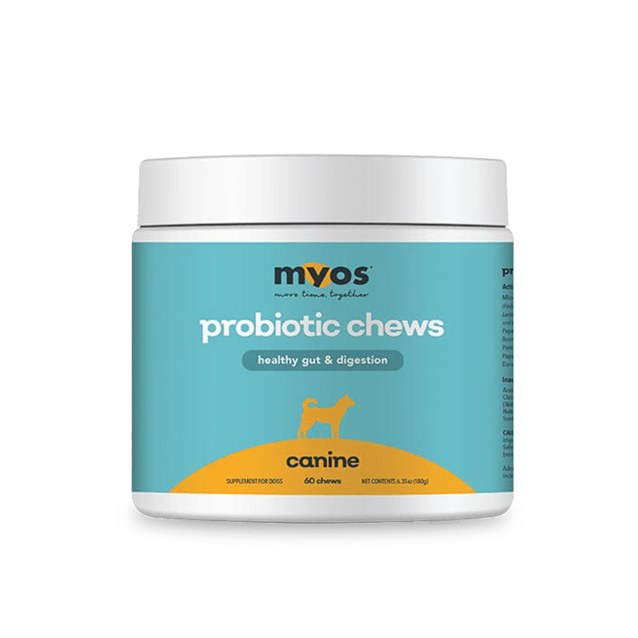 Canine Probiotic Chews Dog Supplements Myos Pet