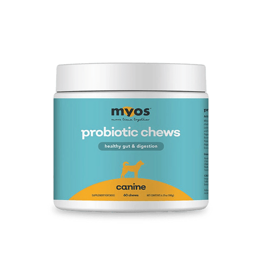 Canine Probiotic Chews Dog Supplements Myos Pet