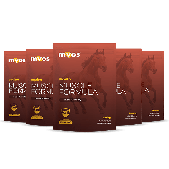 Equine Muscle Formula 6 Pack Sampes Equine Myos Pet
