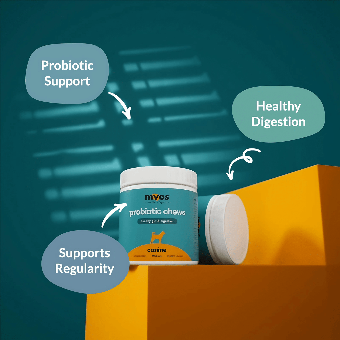 Canine Probiotic Chews Dog Supplements Myos Pet