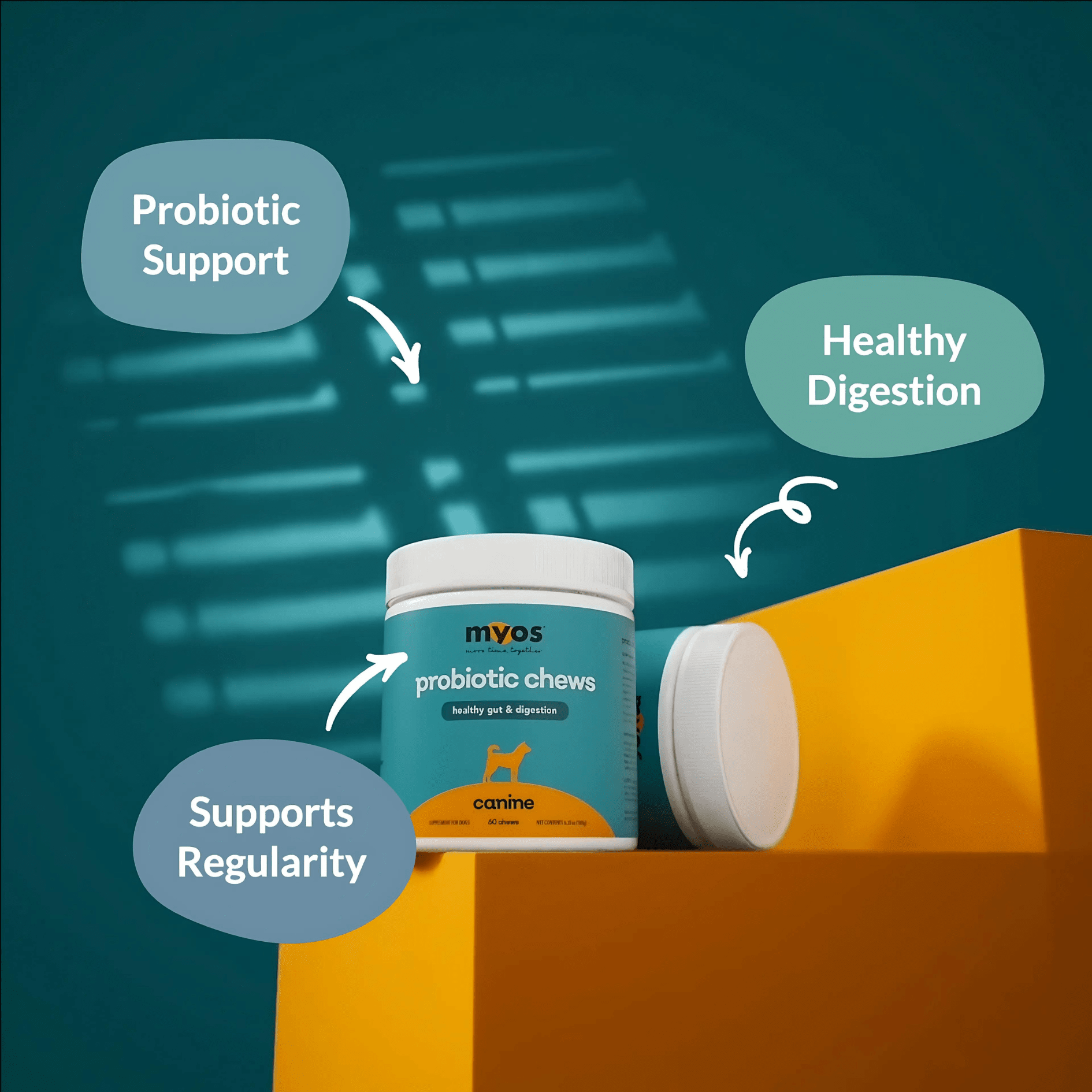 Canine Probiotic Chews Dog Supplements Myos Pet