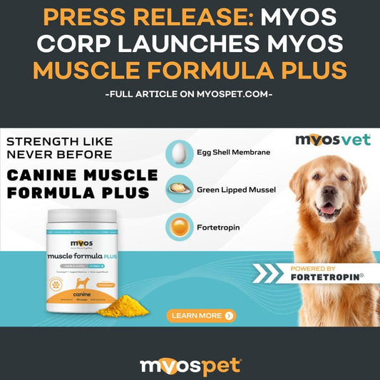 Press Release: MYOS Corp Launches MYOS Muscle Formula Plus