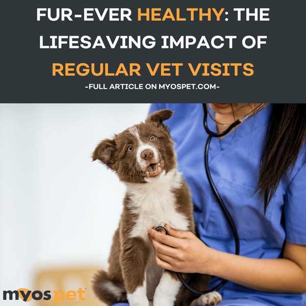 Fur-ever Healthy: The Lifesaving Impact of Regular Vet Visits