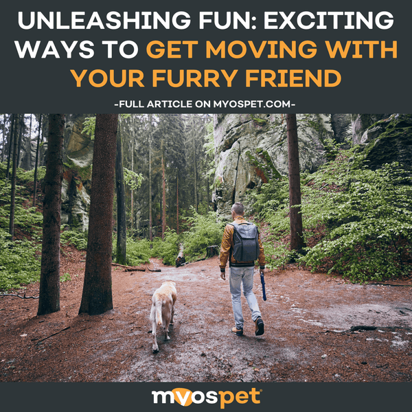 Unleashing Fun: Exciting Ways to Get Moving with Your Furry Friend