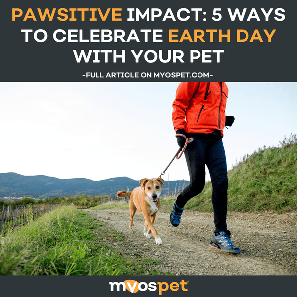 Pawsitive Impact: Celebrate Earth Day with Your Pet in 5 Eco-Friendly Ways