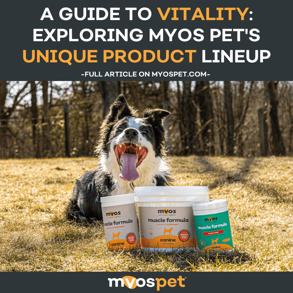 A Guide to Vitality: Exploring MYOS Pet's Unique Product Lineup