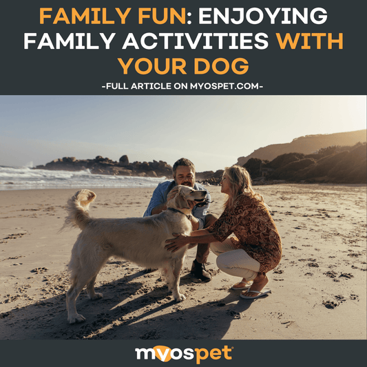 Family Fun: Enjoying Family Activities with Your Dog