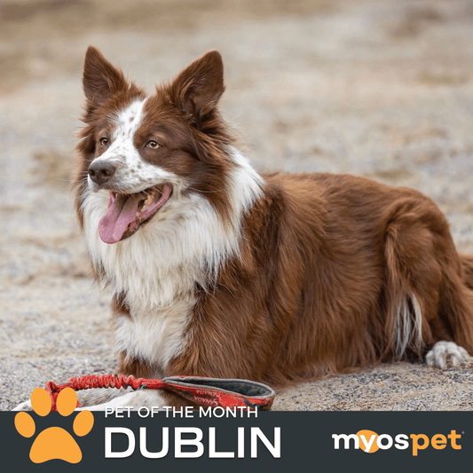 January 2023: MYOS Pet of the Month