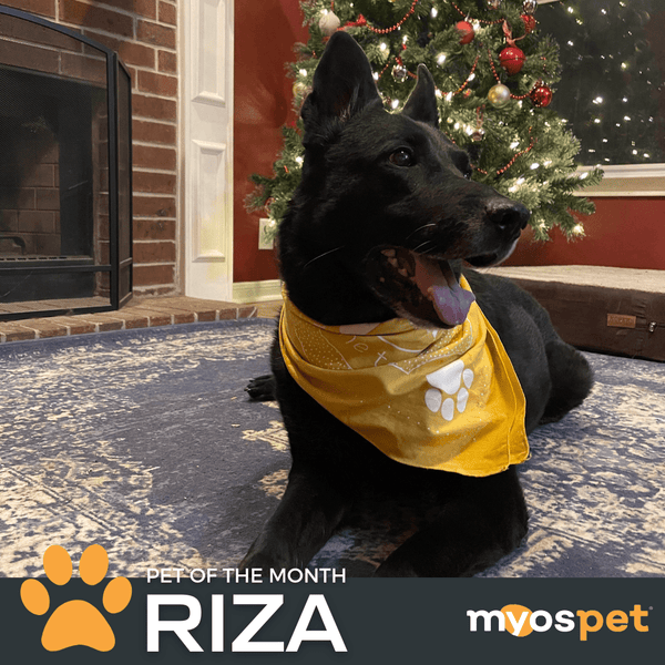February 2023 Myos Pet of the Month:  Riza