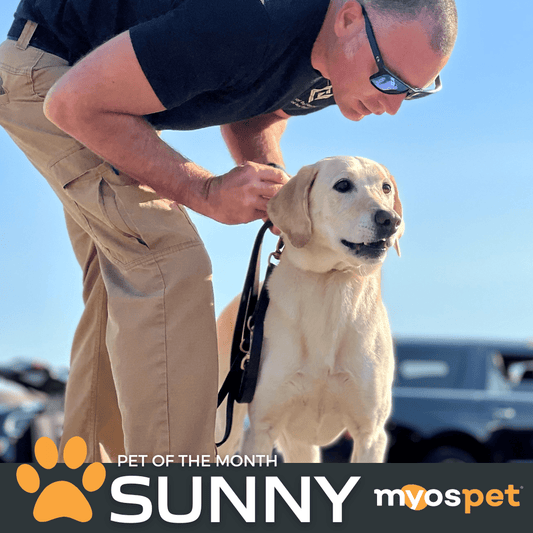 March 2023 MYOS Pet of the Month: Sunny