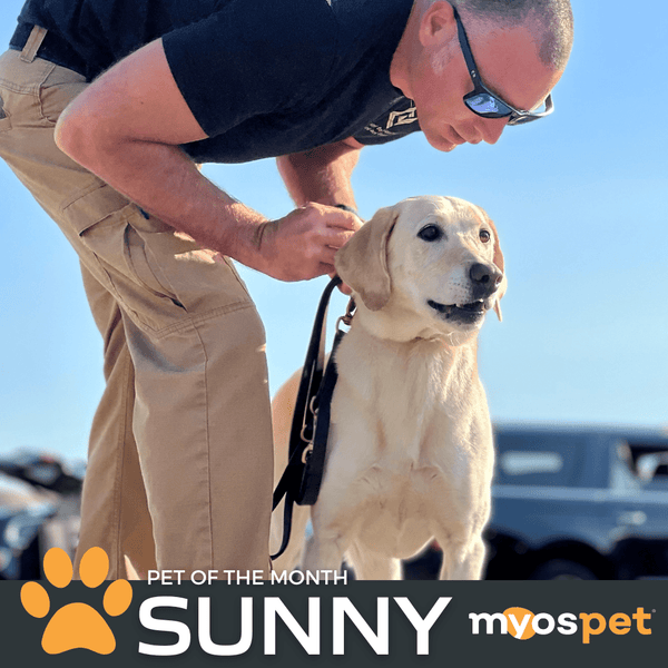 March 2023 MYOS Pet of the Month: Sunny