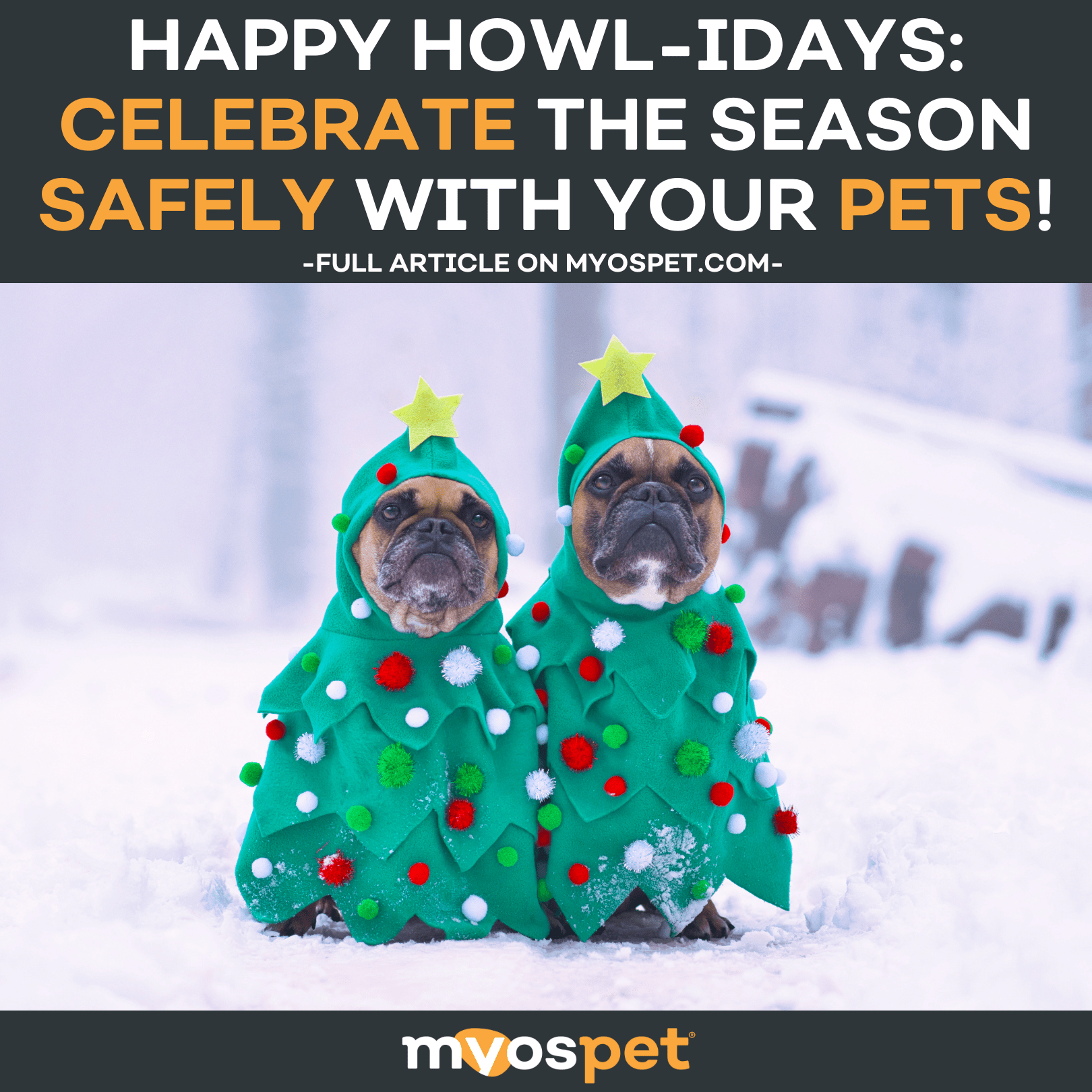 Happy Howl-idays: Celebrate the Season Safely with Your Pets!