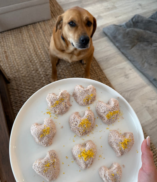 Berry Sweet No-Bake Dog Treats for Your Furry Valentine!