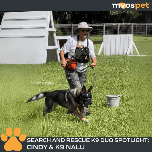 Brave Tails: Search and Rescue K9 Duo Spotlight: Cindy & Nalu