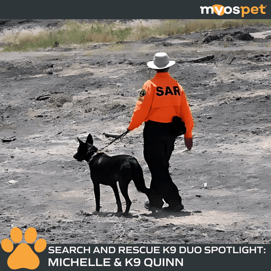 Brave Tails: Search and Rescue K9 Duo Spotlight