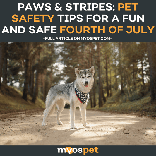 Paws & Stripes: Pet Safety Tips for a Fun and Safe Fourth of July