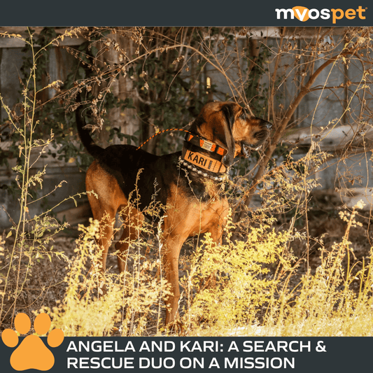 Meet Angela and Kari: A Search & Rescue Duo on a Mission
