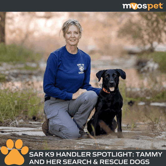 More Than the Mission: Tammy and Her Search & Rescue Dogs