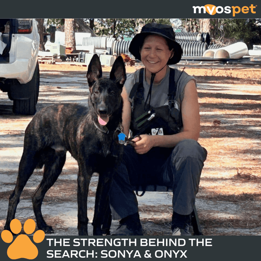 The Strength Behind the Search: Sonya & Onyx