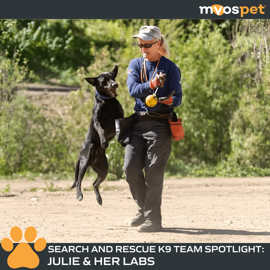 Julie and Her Pack of Heroes: An incredible Search & Rescue Team – Myos Pet
