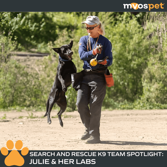 Julie and Her Pack of Heroes: An incredible Search & Rescue Team