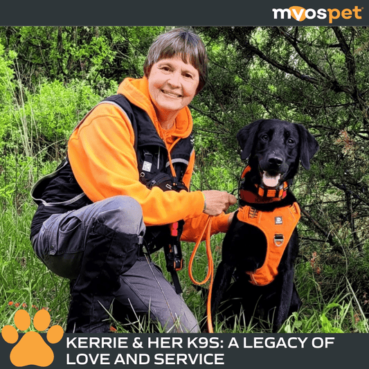Kerrie & Her K9s: A Legacy of Love and Service